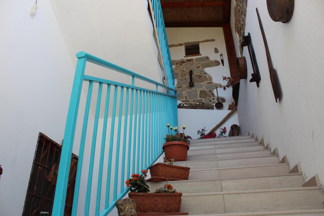 Bed And Breakfast Murales Orgosolo Εξωτερικό φωτογραφία