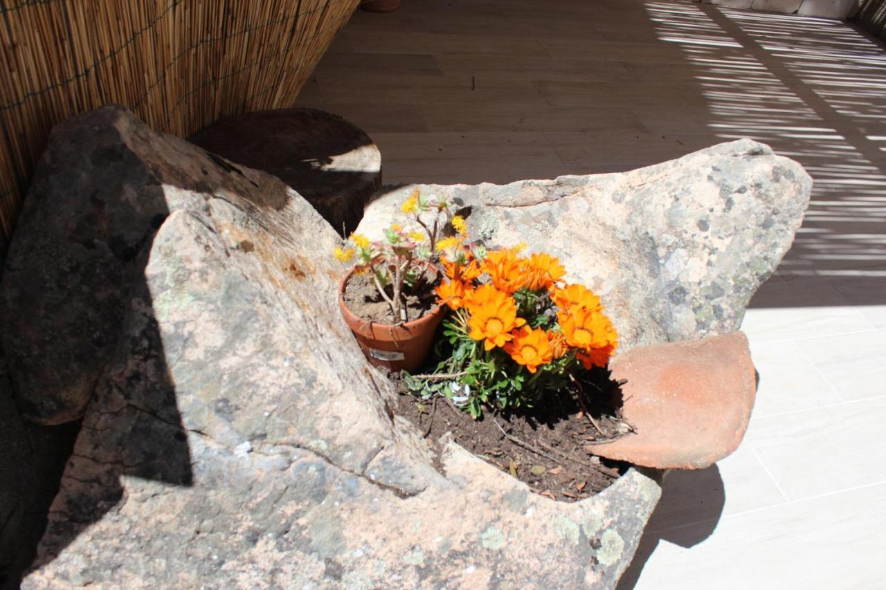 Bed And Breakfast Murales Orgosolo Εξωτερικό φωτογραφία