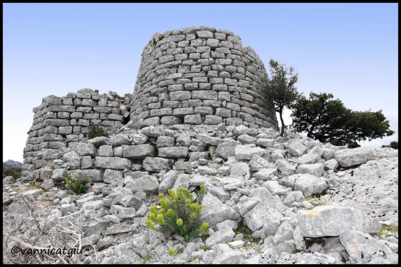 Bed And Breakfast Murales Orgosolo Εξωτερικό φωτογραφία